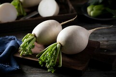 特岗教师申请调动申请书_特岗申请工作调动的申请书范文