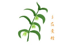 学校双减政策下考试管理制度