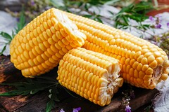 房屋租赁经营的合同_营业场所房屋租赁合同