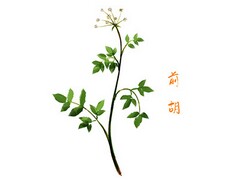 保险业务员个人工作总结