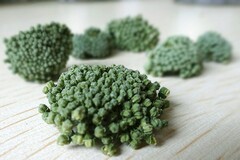 向日葵生长观察杯压缩膜用去掉吗_向日葵生长观察
