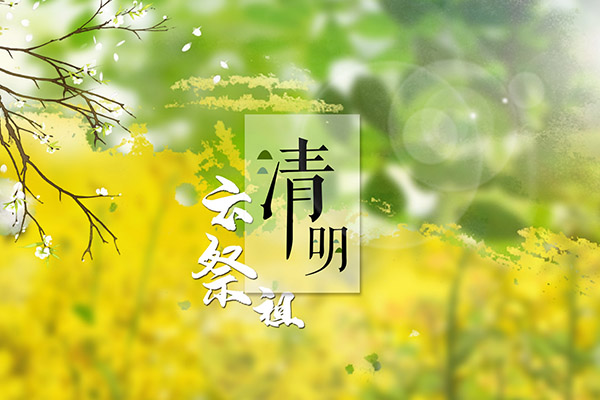 学生课外活动安排方案