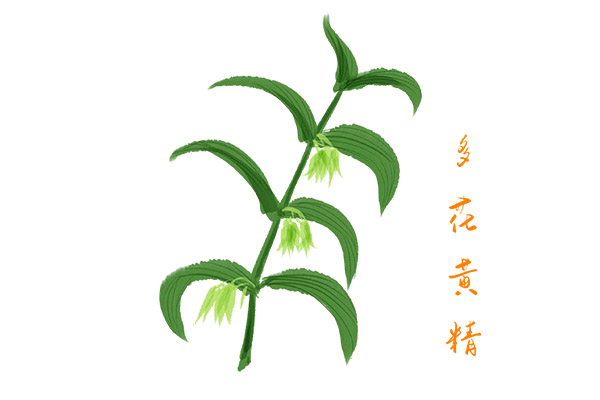 大学赞助策划书怎么写