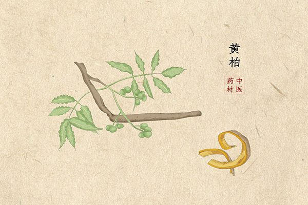 线上教学和线下教学衔接方案